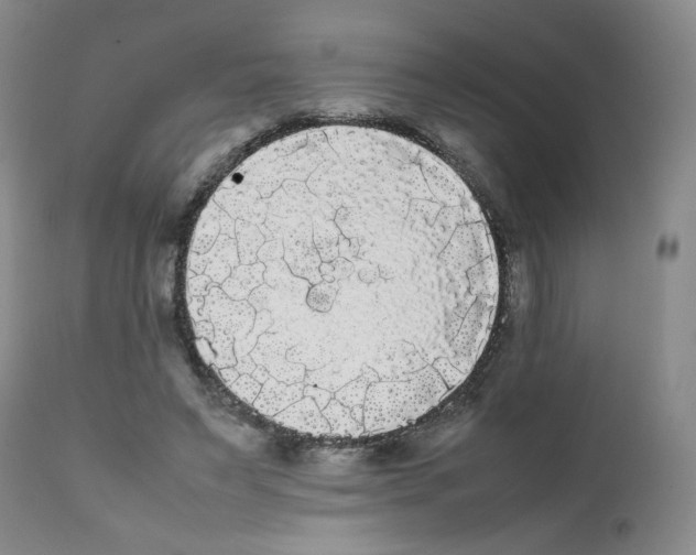 X0000112070495200909151052