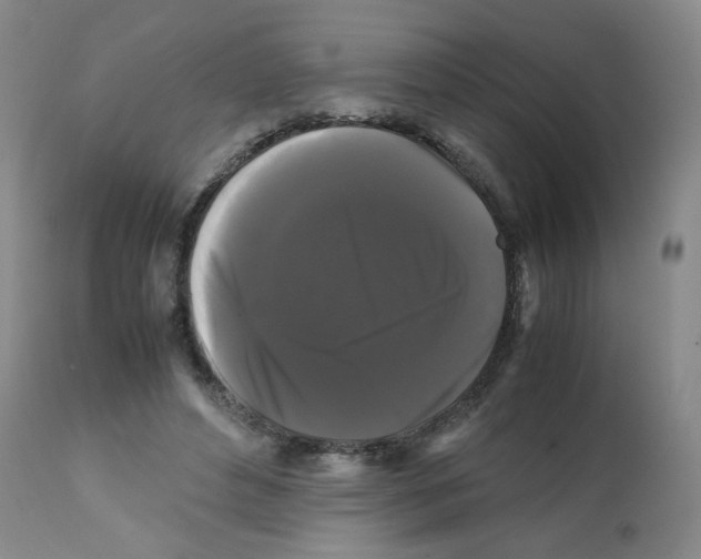 X0000112070496200909151052