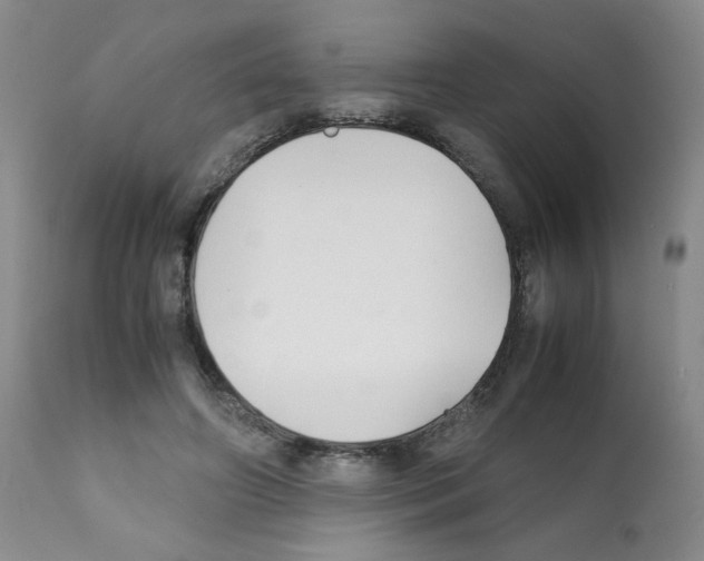 X0000112070498200909151052