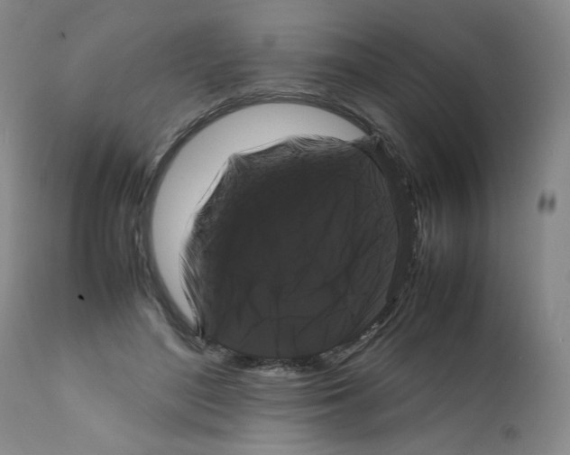 X0000112070500200909151052