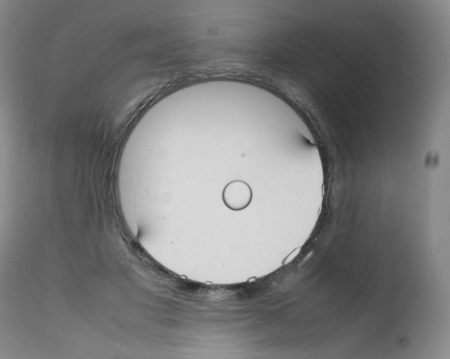 X0000112070501200909151051