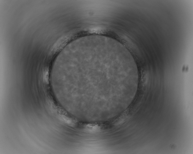 X0000112070502200909151051