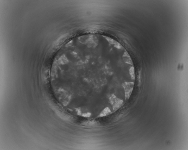 X0000112070503200909151051