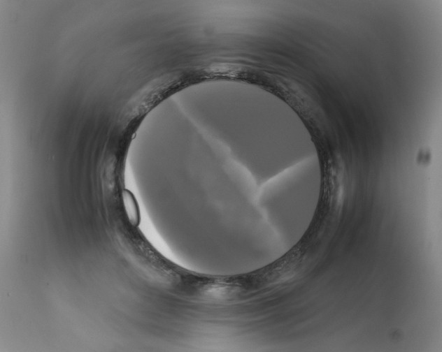 X0000112070504200909151051