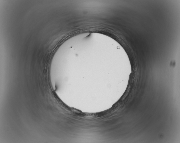 X0000112070505200909151051