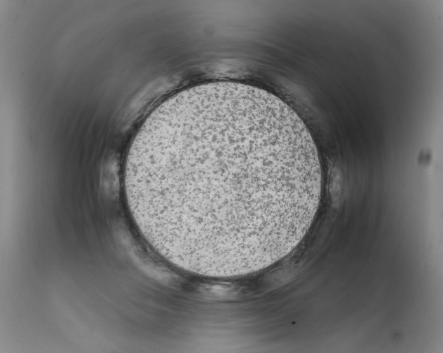X0000112070506200909151051