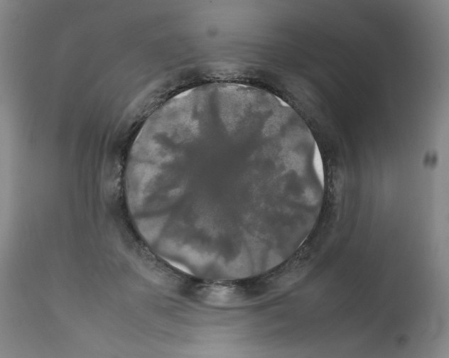 X0000112070507200909151051