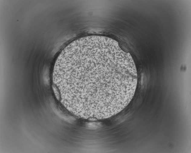 X0000112070508200909151051