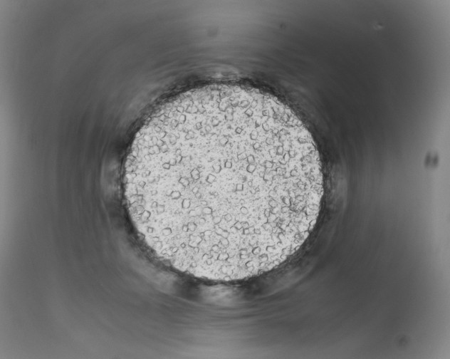 X0000112070511200909151051