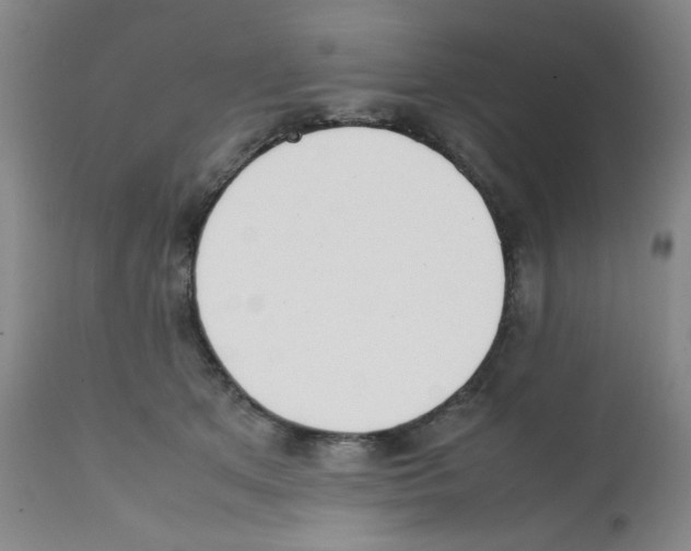 X0000112070513200909151051