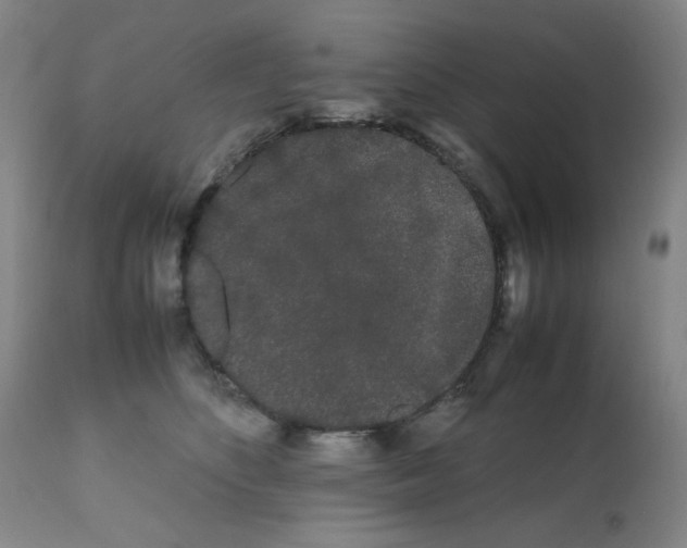 X0000112070516200909151051