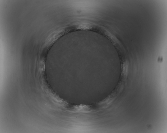 X0000112070517200909151051