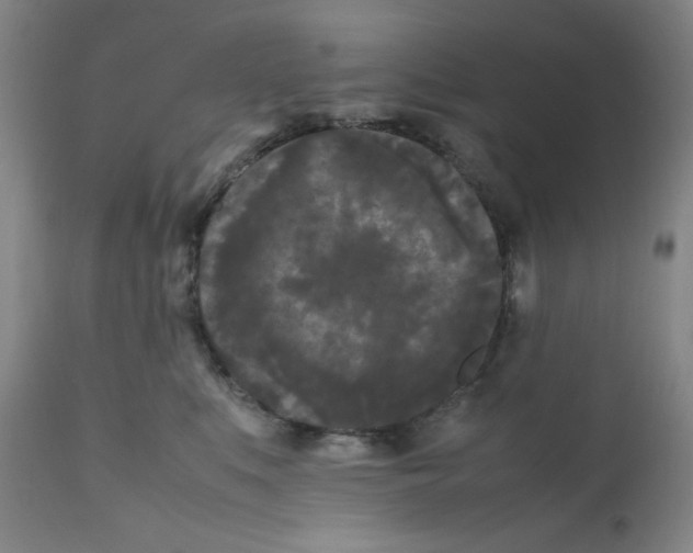 X0000112070519200909151051