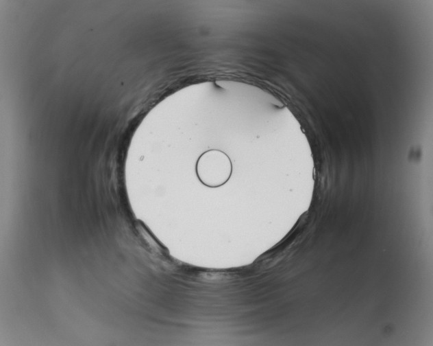 X0000112070520200909151051
