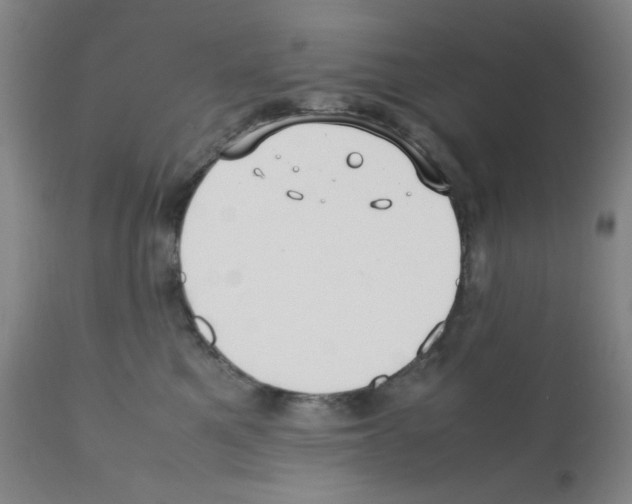 X0000112070521200909151051