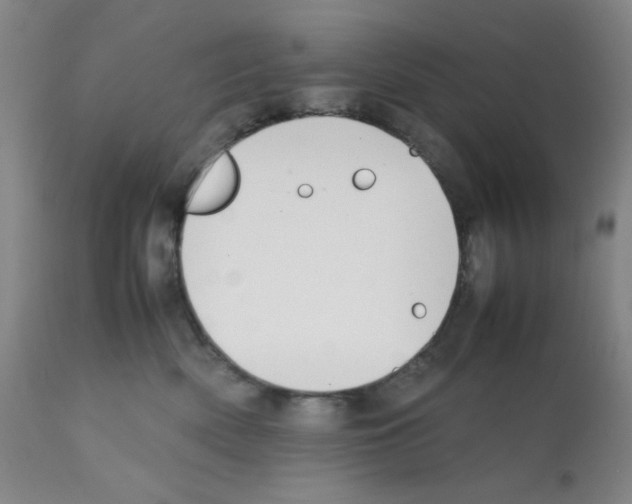 X0000112070522200909151051