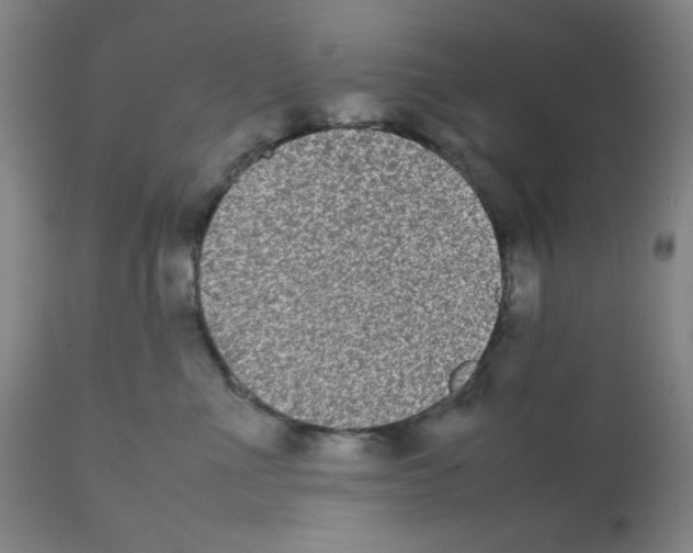 X0000112070523200909151051