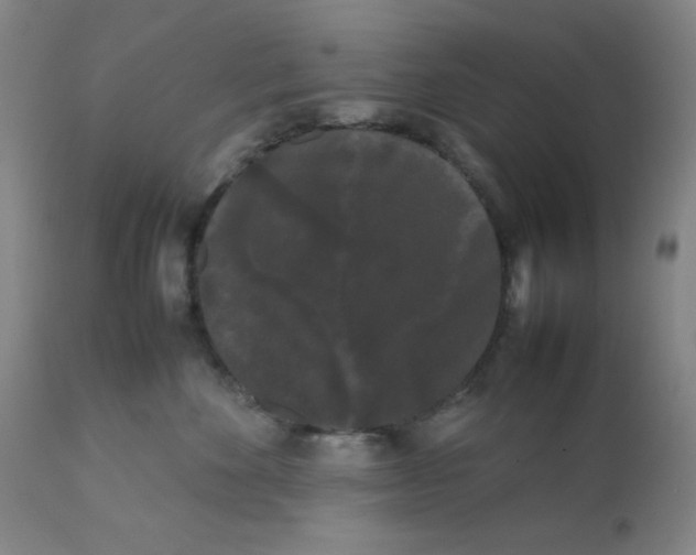 X0000112070524200909151051