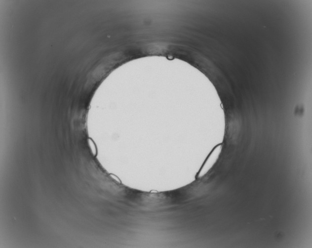 X0000112070525200909151051