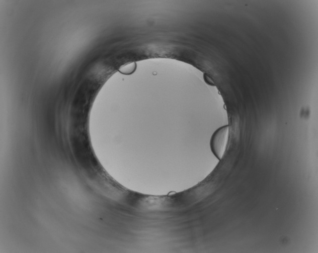 X0000112070526200909151051