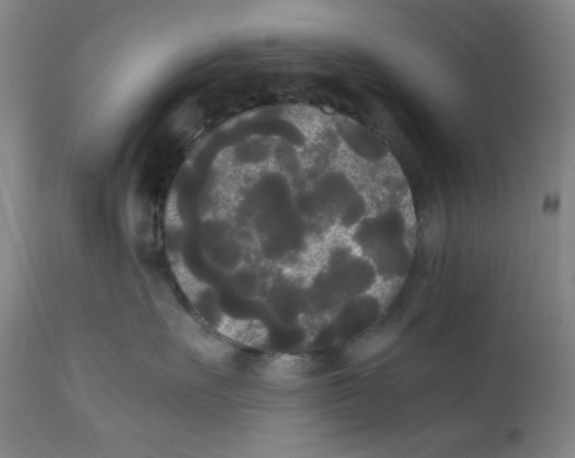 X0000112070527200909151051