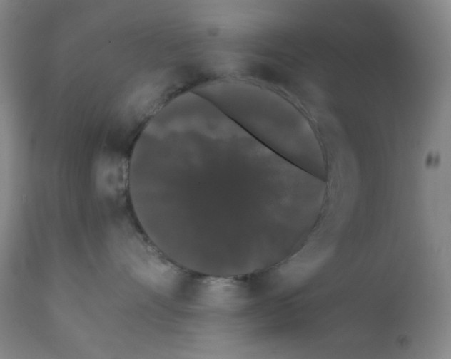 X0000112070528200909151051