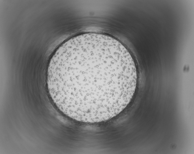 X0000112070529200909151050