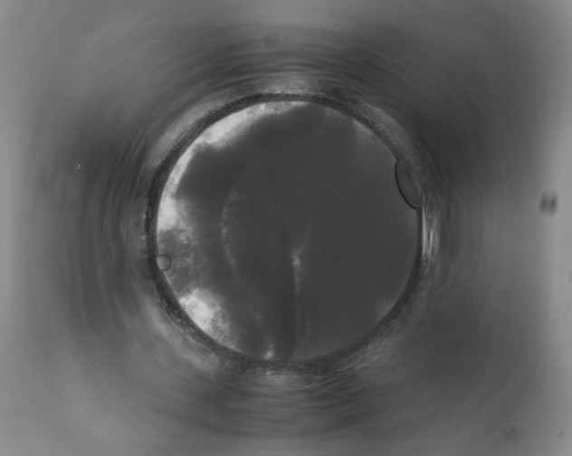 X0000112070531200909151050