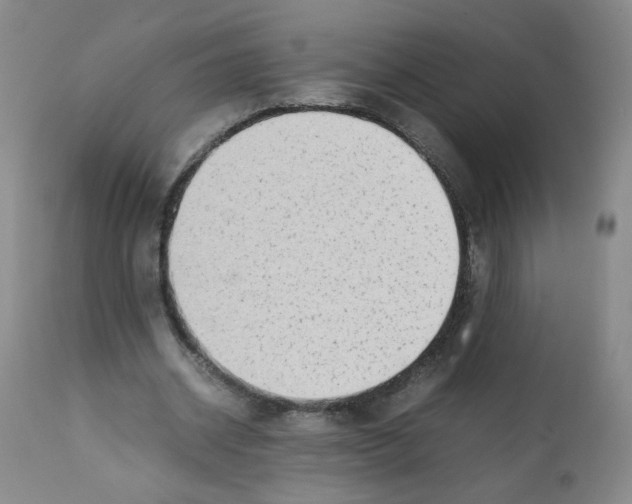 X0000112070534200909151051