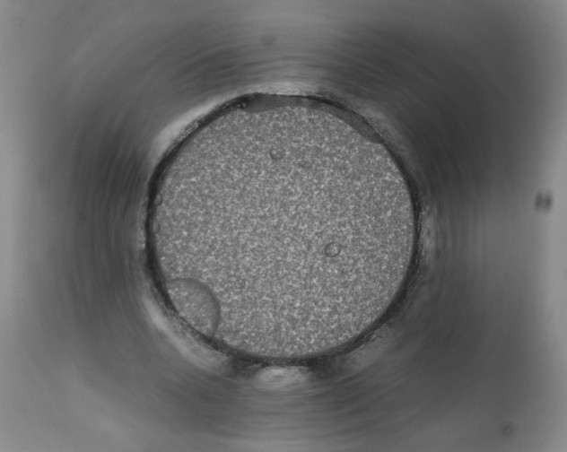 X0000112070536200909151051