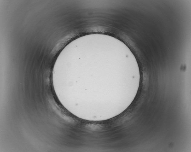 X0000112070537200909151051