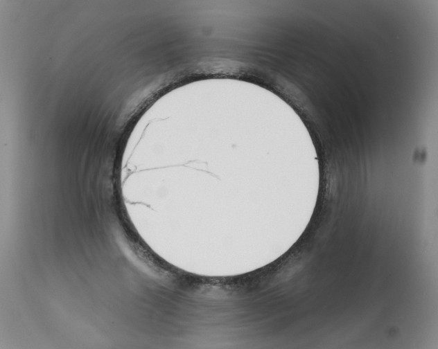 X0000112070538200909151051