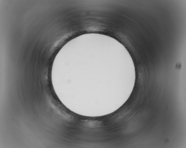 X0000112070539200909151051