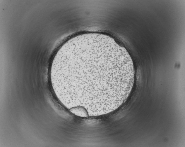 X0000112070540200909151051