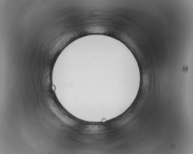 X0000112070541200909151051