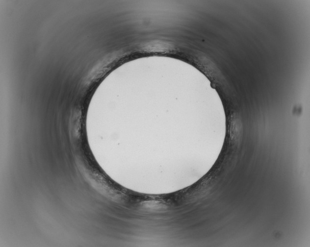 X0000112070544200909151051