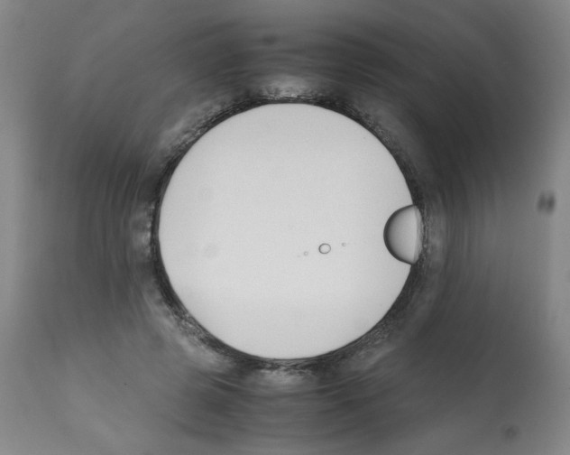 X0000112070545200909151051