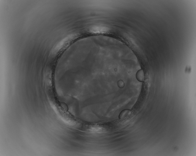 X0000112070547200909151051