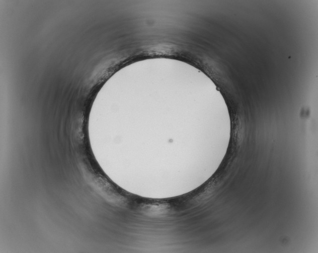 X0000112070548200909151051