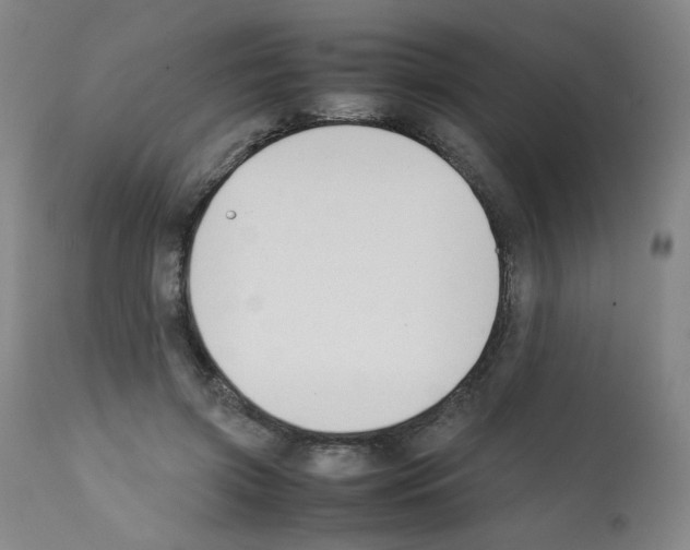 X0000112070549200909151051