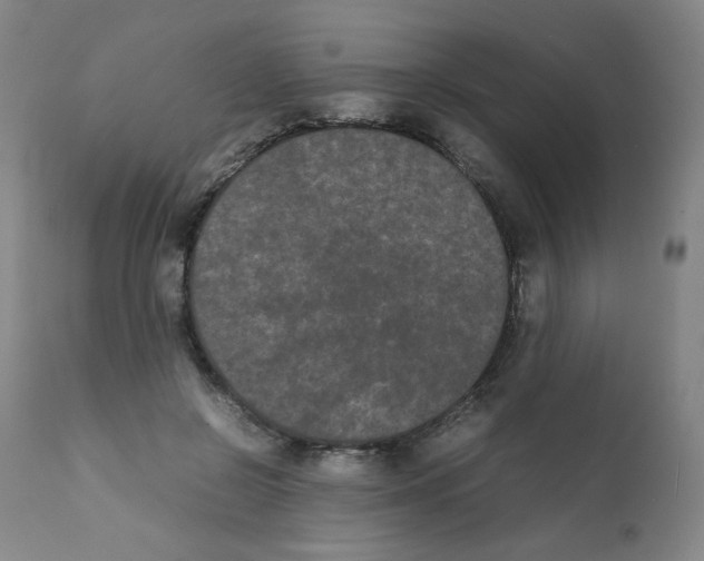 X0000112070550200909151051