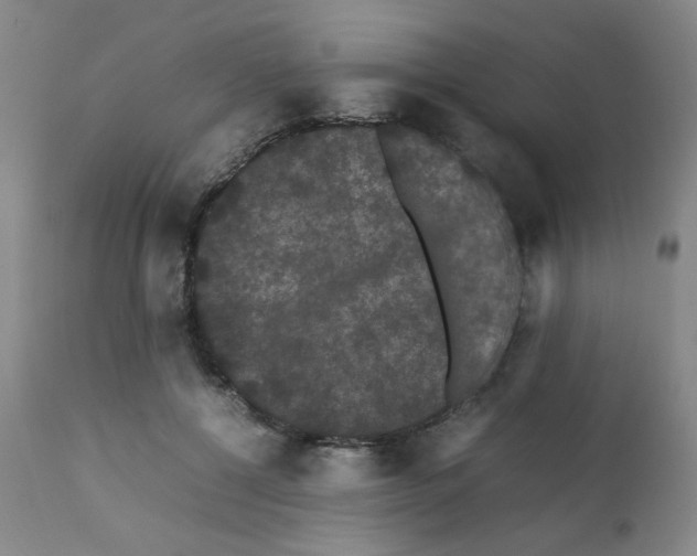 X0000112070552200909151051