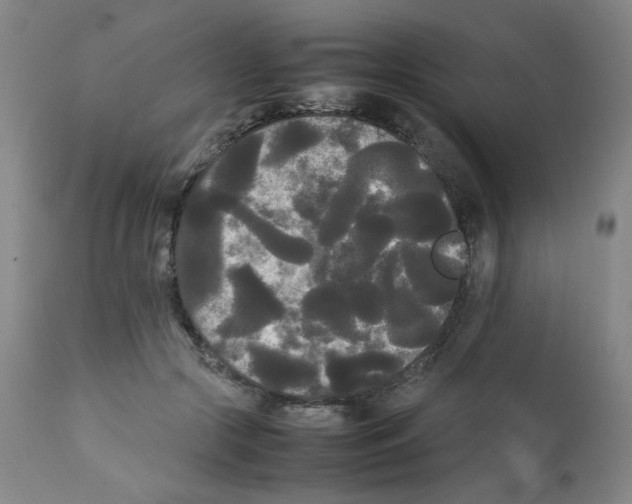 X0000112070553200909151051