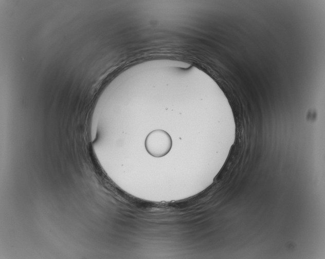 X0000112070556200909151051