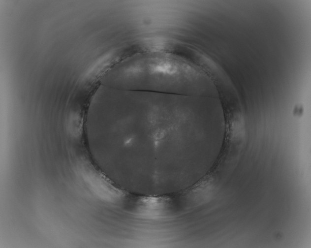 X0000112070558200909151051