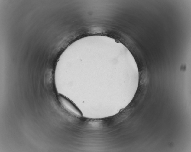X0000112070560200909151051