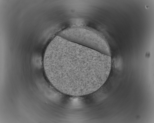 X0000112070564200909151051