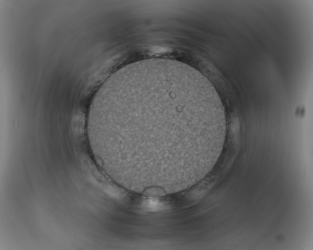 X0000112070565200909151051