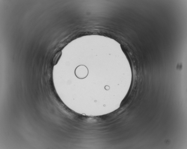 X0000112070566200909151051