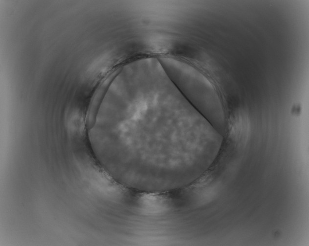 X0000112070568200909151051